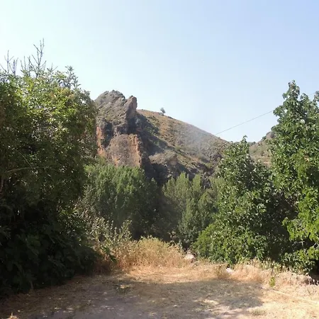 Casa El Arbol